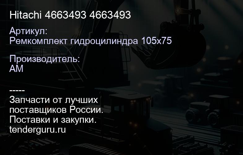 Ремкомплект гидроцилиндра 105х75 Hitachi 4663493 4663493 | купить запчасти